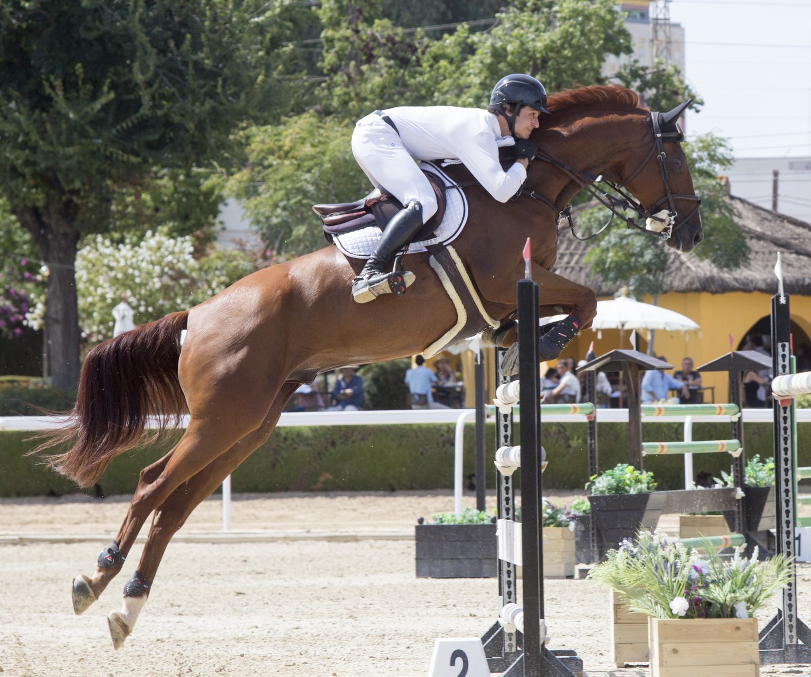 Luis Mateos salta uno de los obstáculos del Gran Premio del CSN4*.