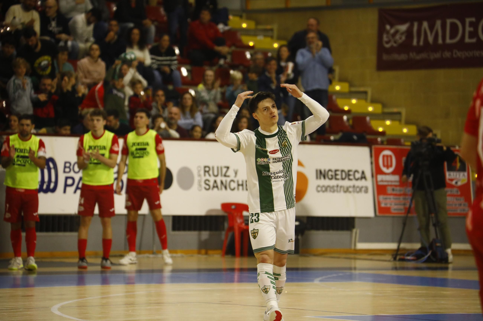 Las mejores fotos de la victoria del Córdoba Futsal ante ElPozo Murcia