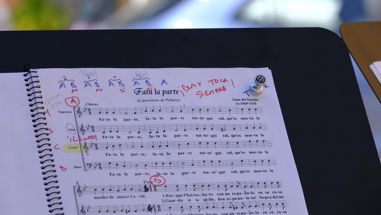 Fotogalería paseo muusical esentia ministriles