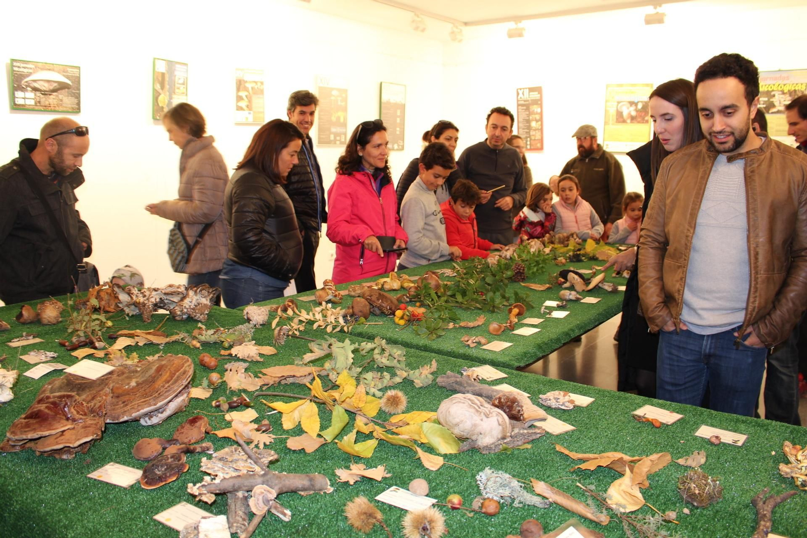 Ediciones anteriores de las Jornadas micológicas de Constantina