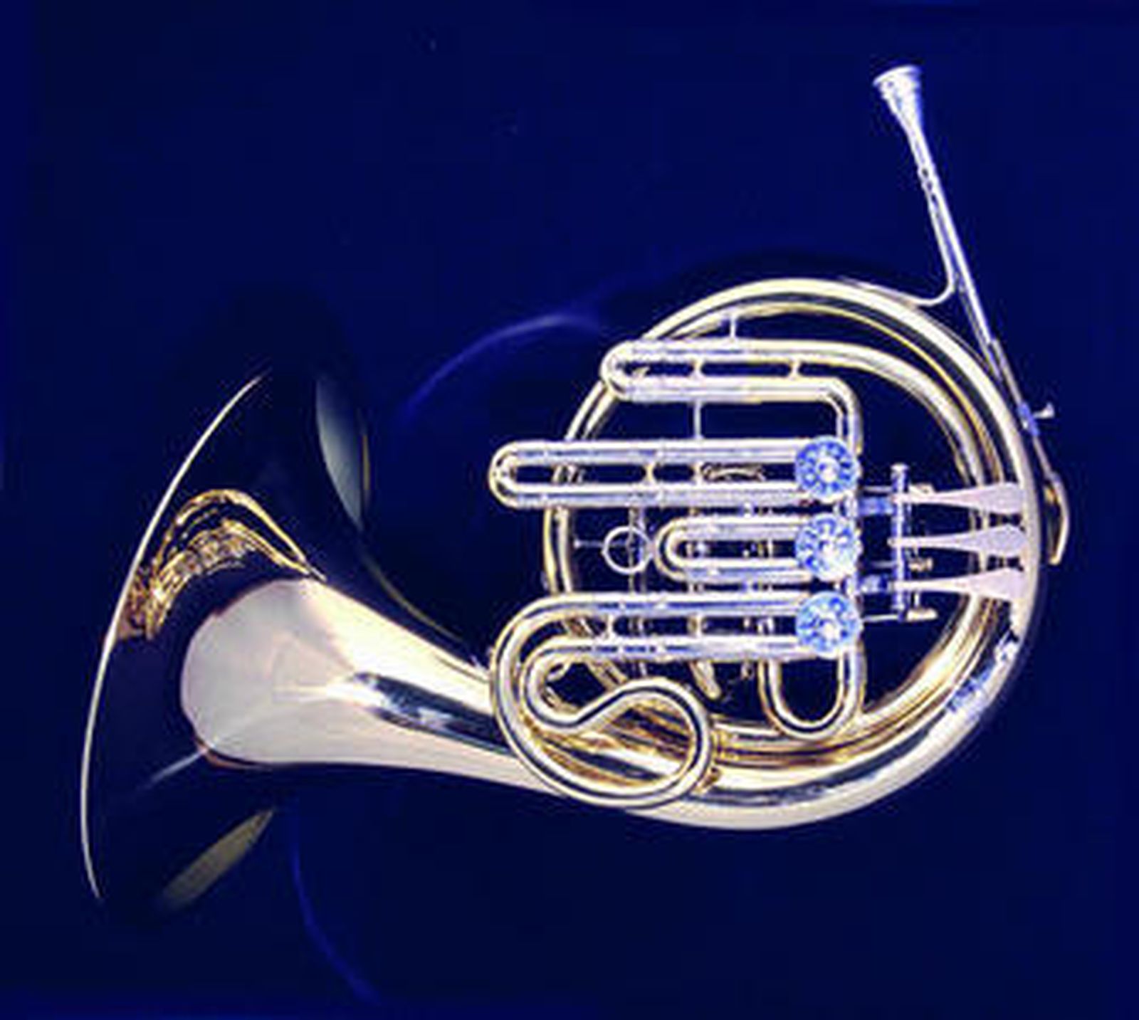 Las trompas serán las protagonistas del concierto de esta noche.