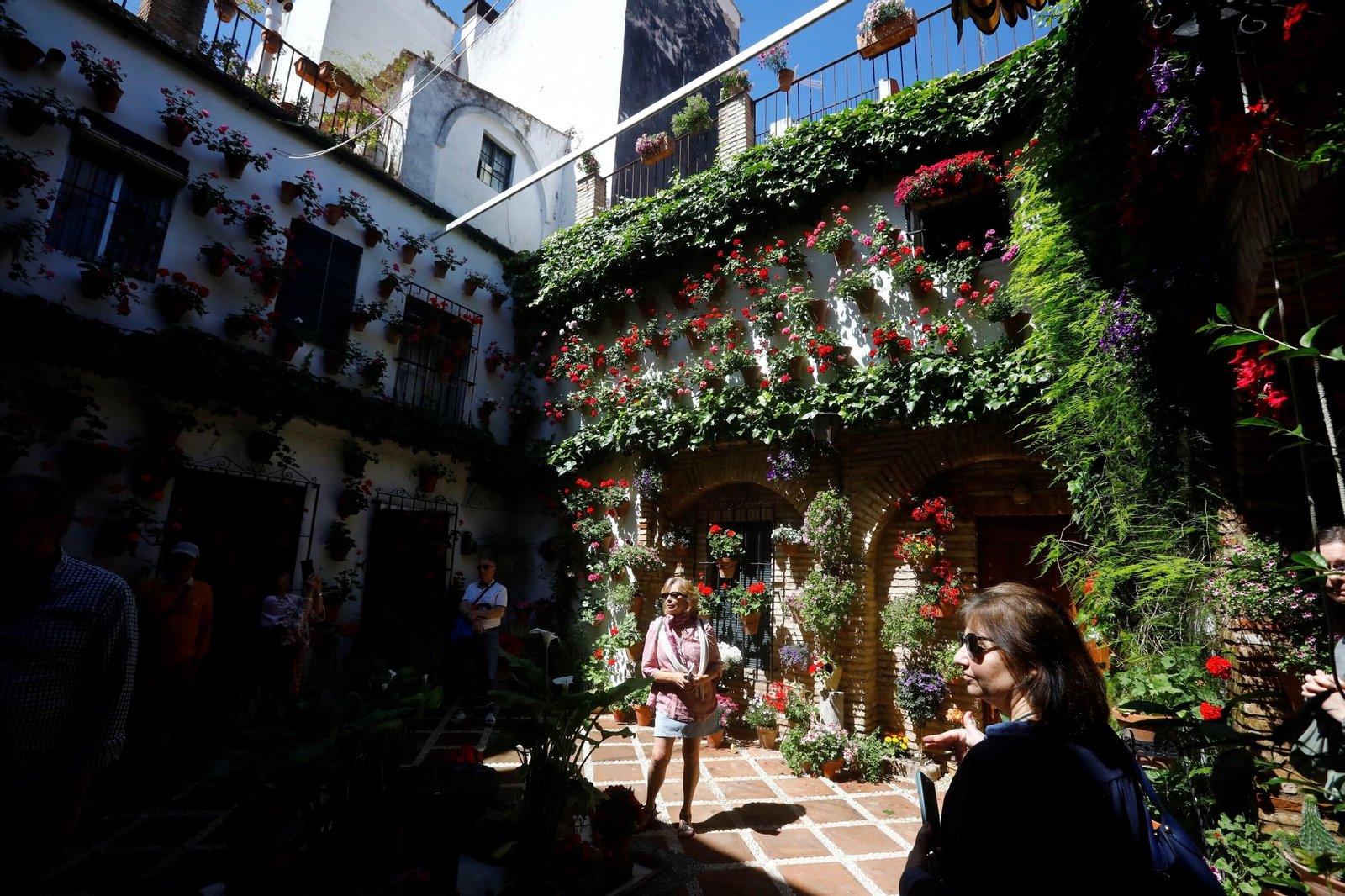 Los Patios de la Ruta de Santiago-San Pedro, en imágenes