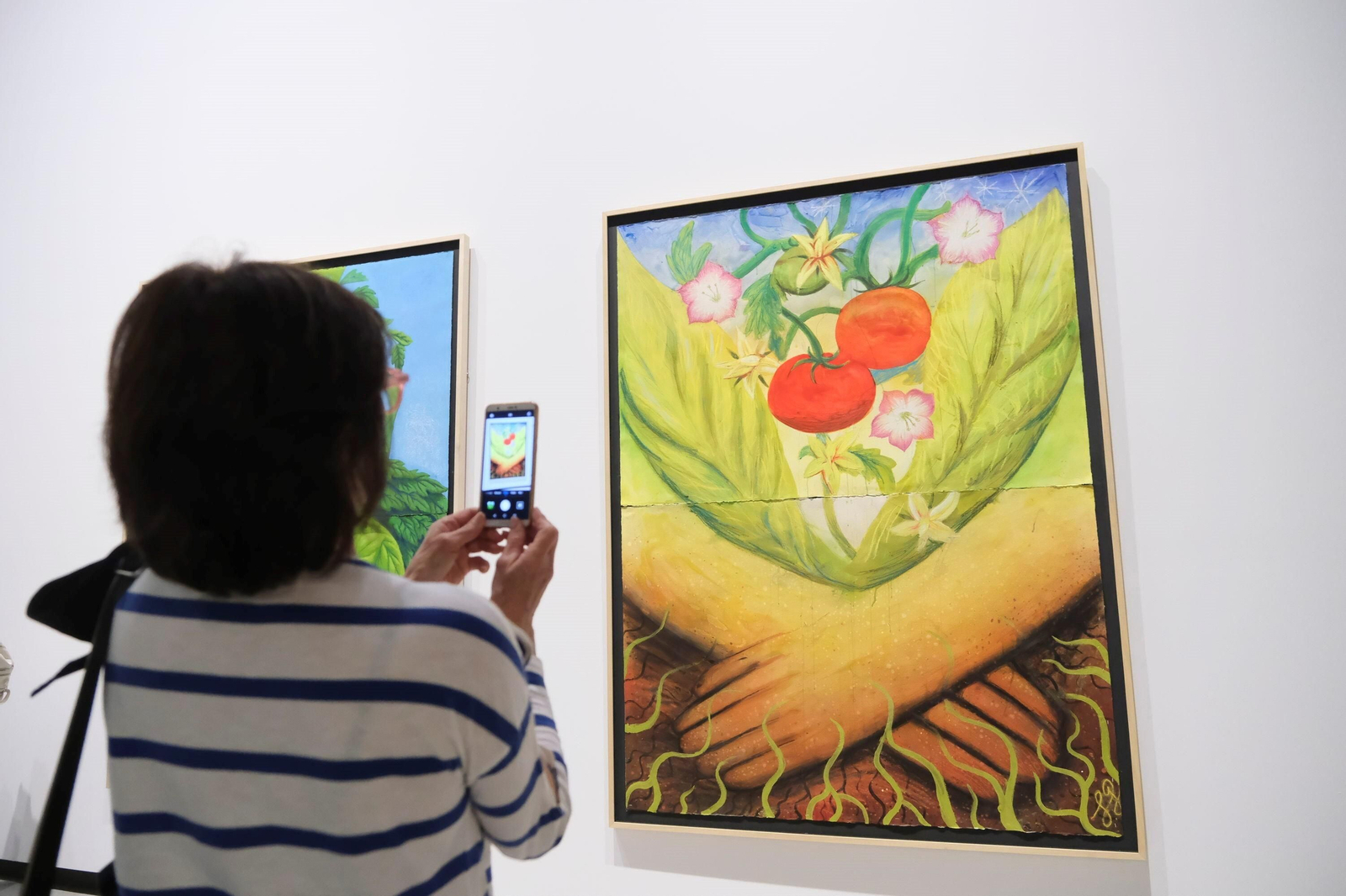 La exposición 'Sombra verde' de Federico Guzmán en el C3A de Córdoba, en imágenes