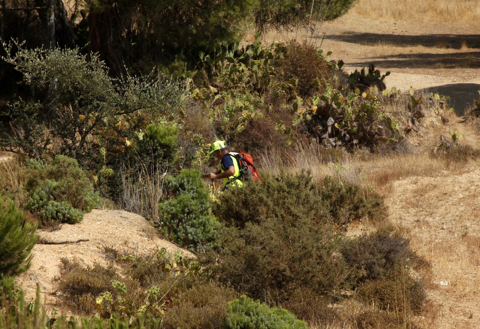 Imágenes de la búsqueda de un hombre de 70 años desaparecido en La Antilla