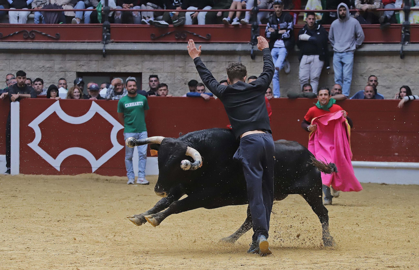 Fotos de los encierros del domingo del Toro Embolao en Los Barrios