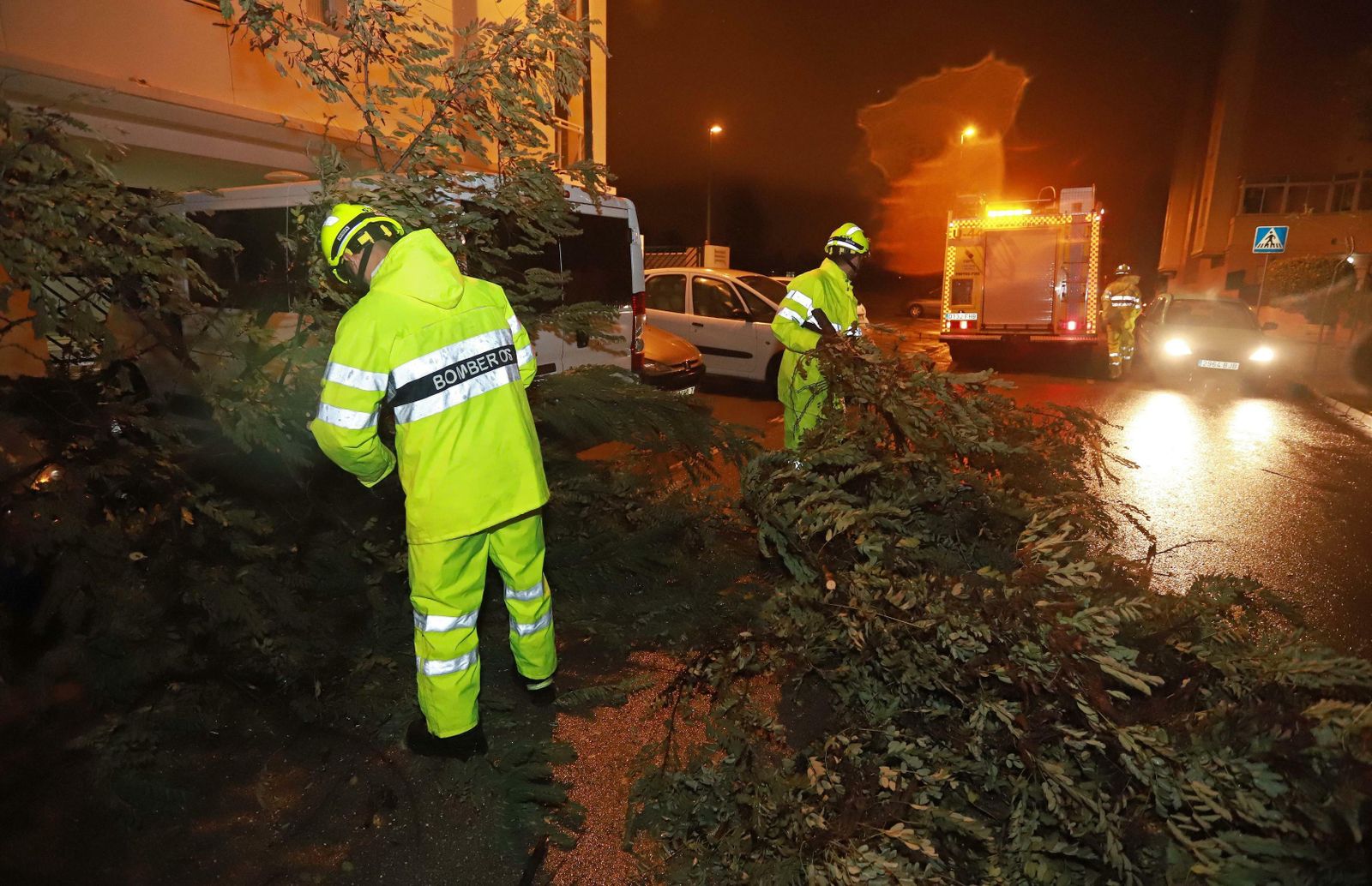 Retirada de un árbol caído en Algeciras.