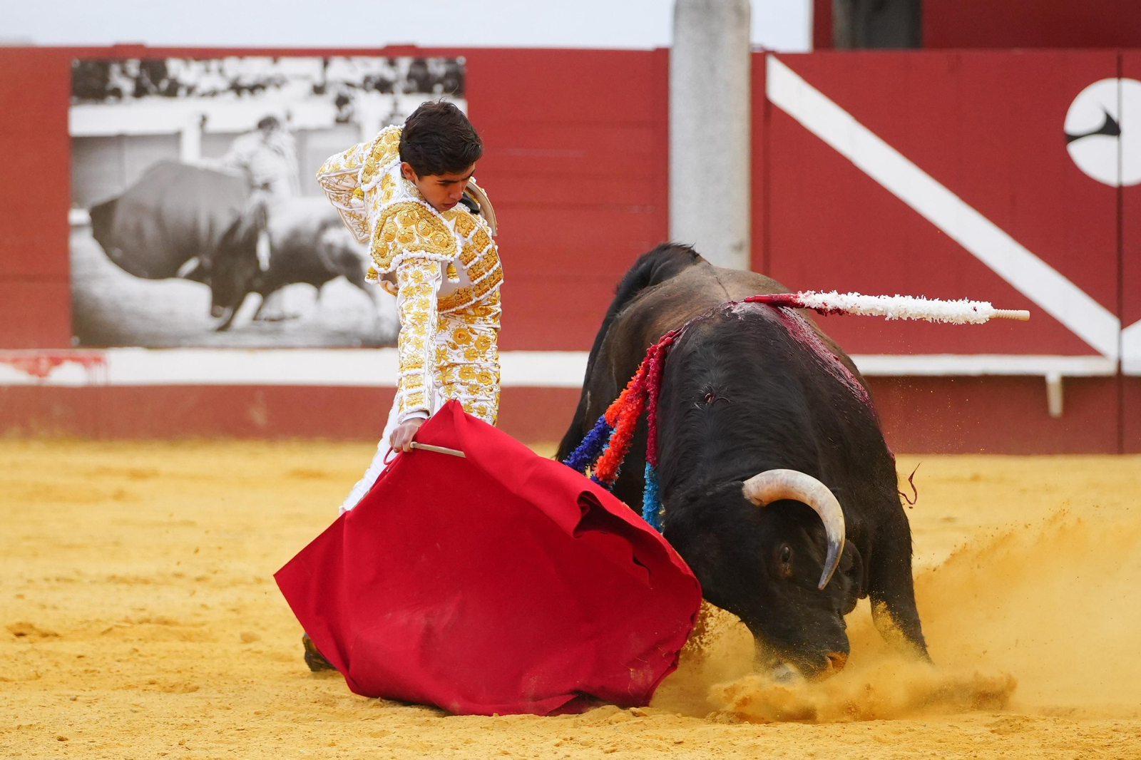 Las mejores imágenes de Manuel Morán, El Fandi y Daniel Luque en Pozoblanco