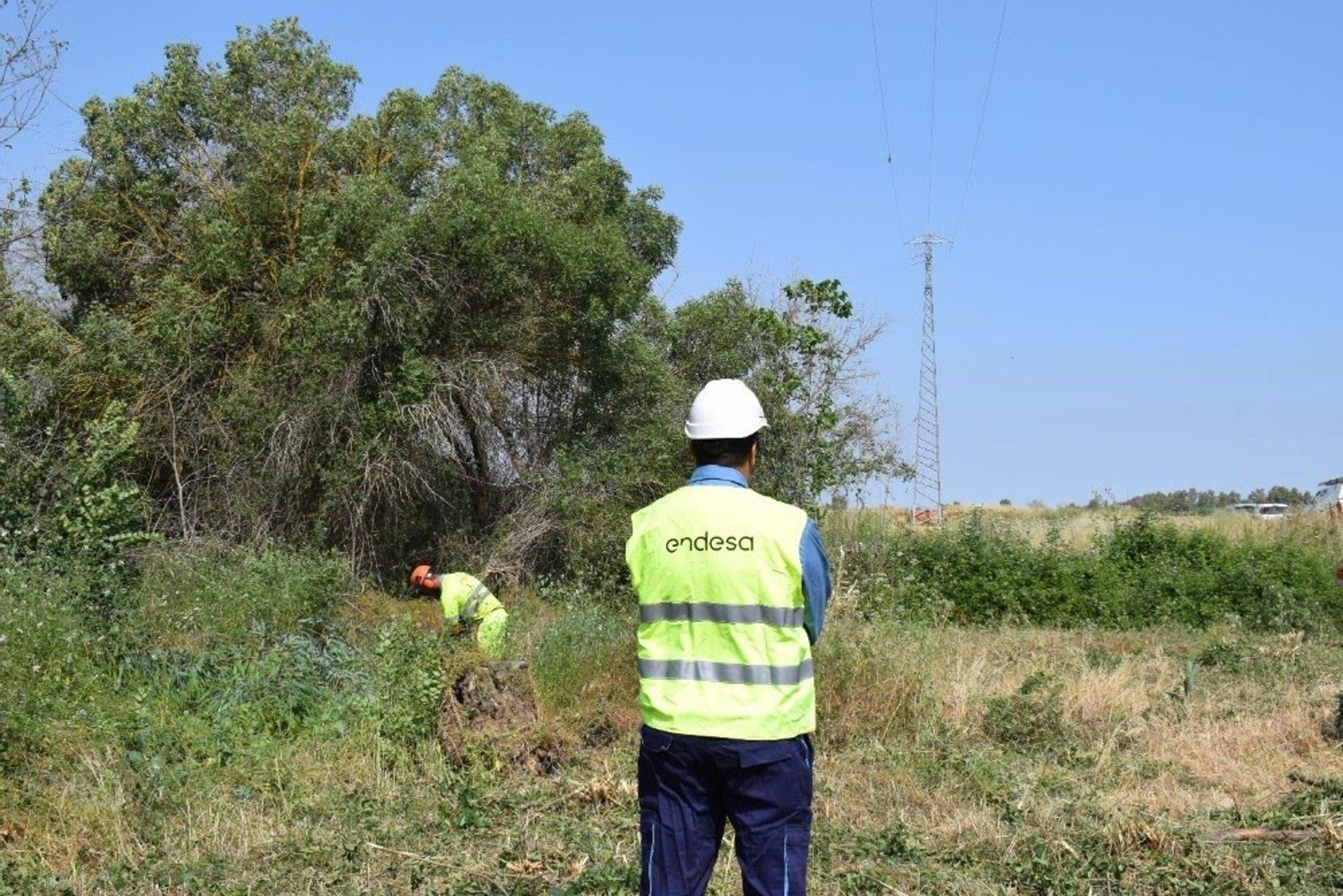 Endesa protege el entorno forestal de más de 5.800 kilómetros de redes eléctricas en Granada