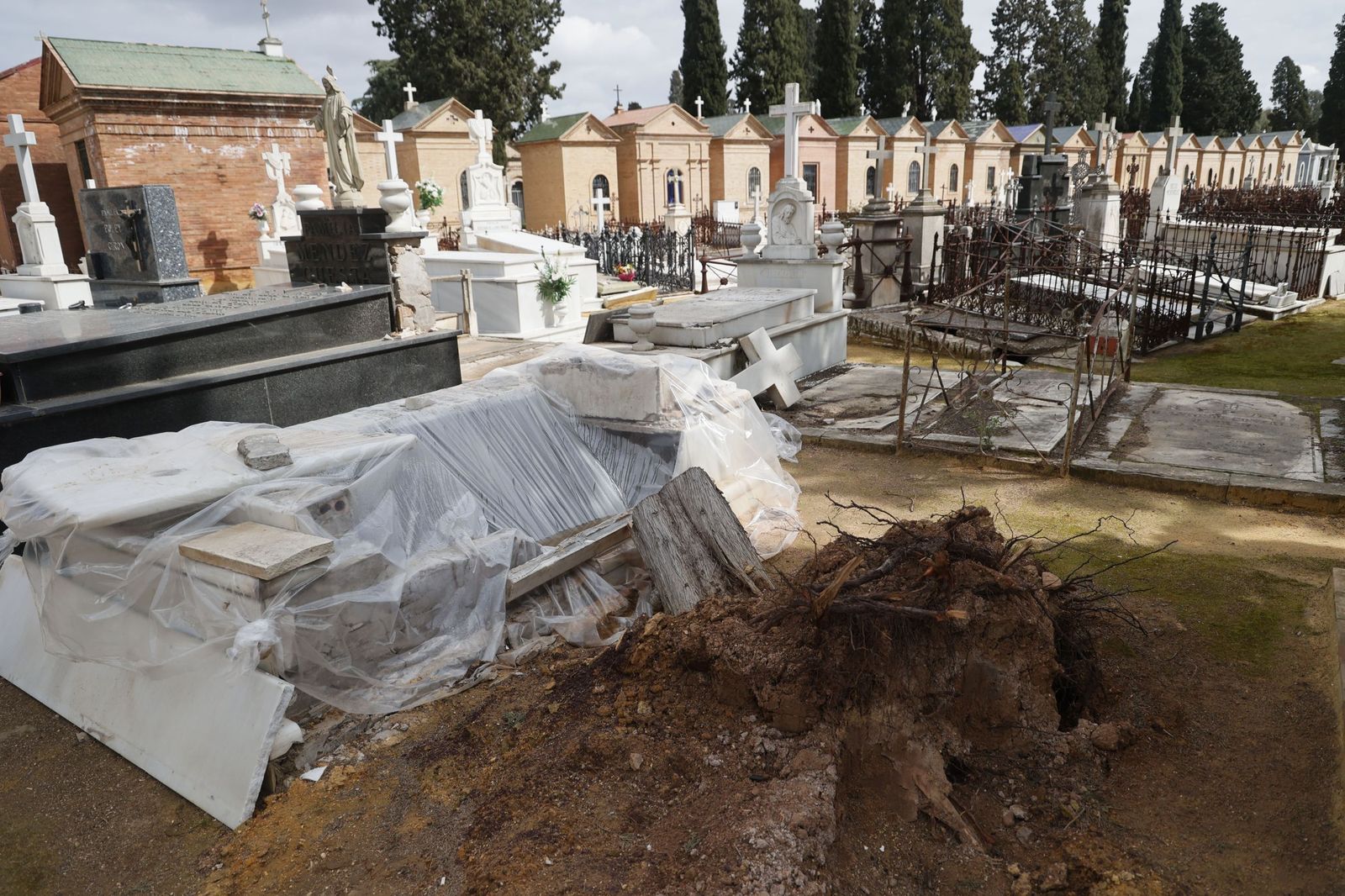 Destrozos provocados en las lápidas del cementerio por la caída de árboles
