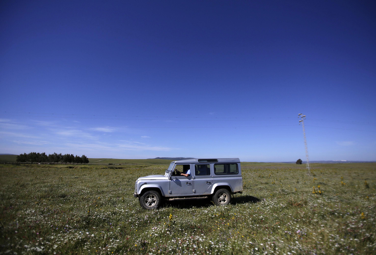 Mas cornadas da el virus, visita a la ganadería de Nuñez La Palmosilla