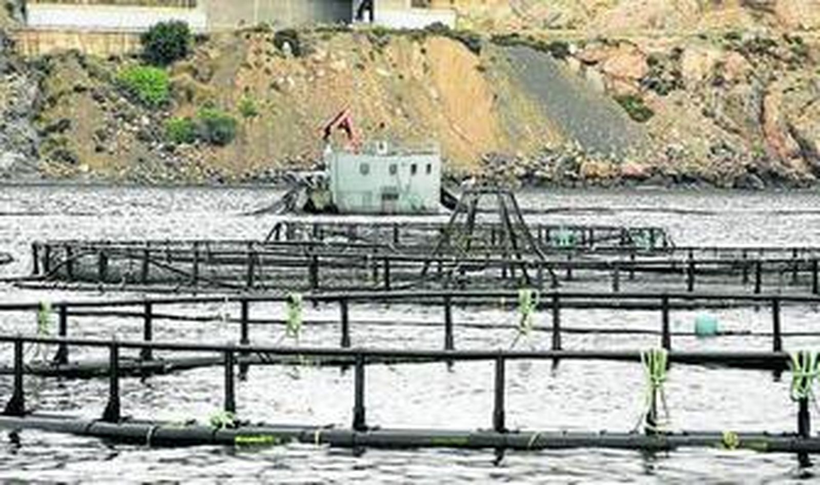 Piagua, la piscifactoría de Culmarex en Aguadulce.