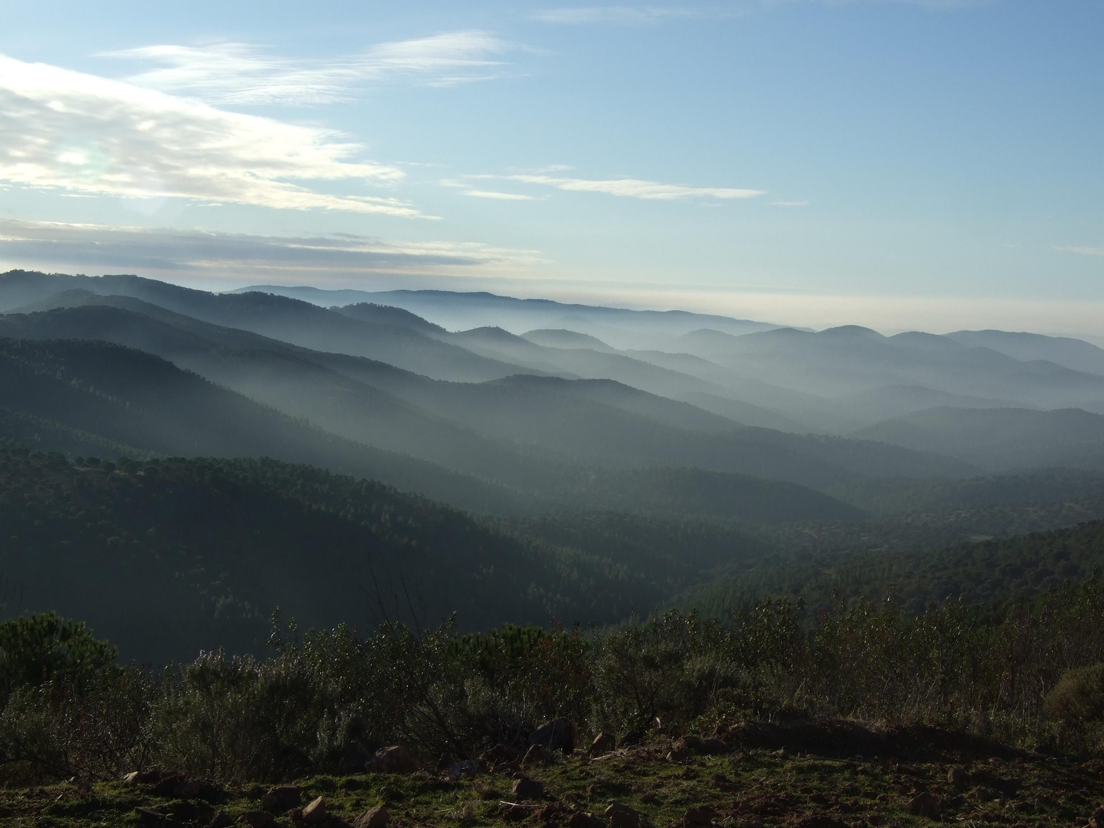 Coto de Las Monteras.