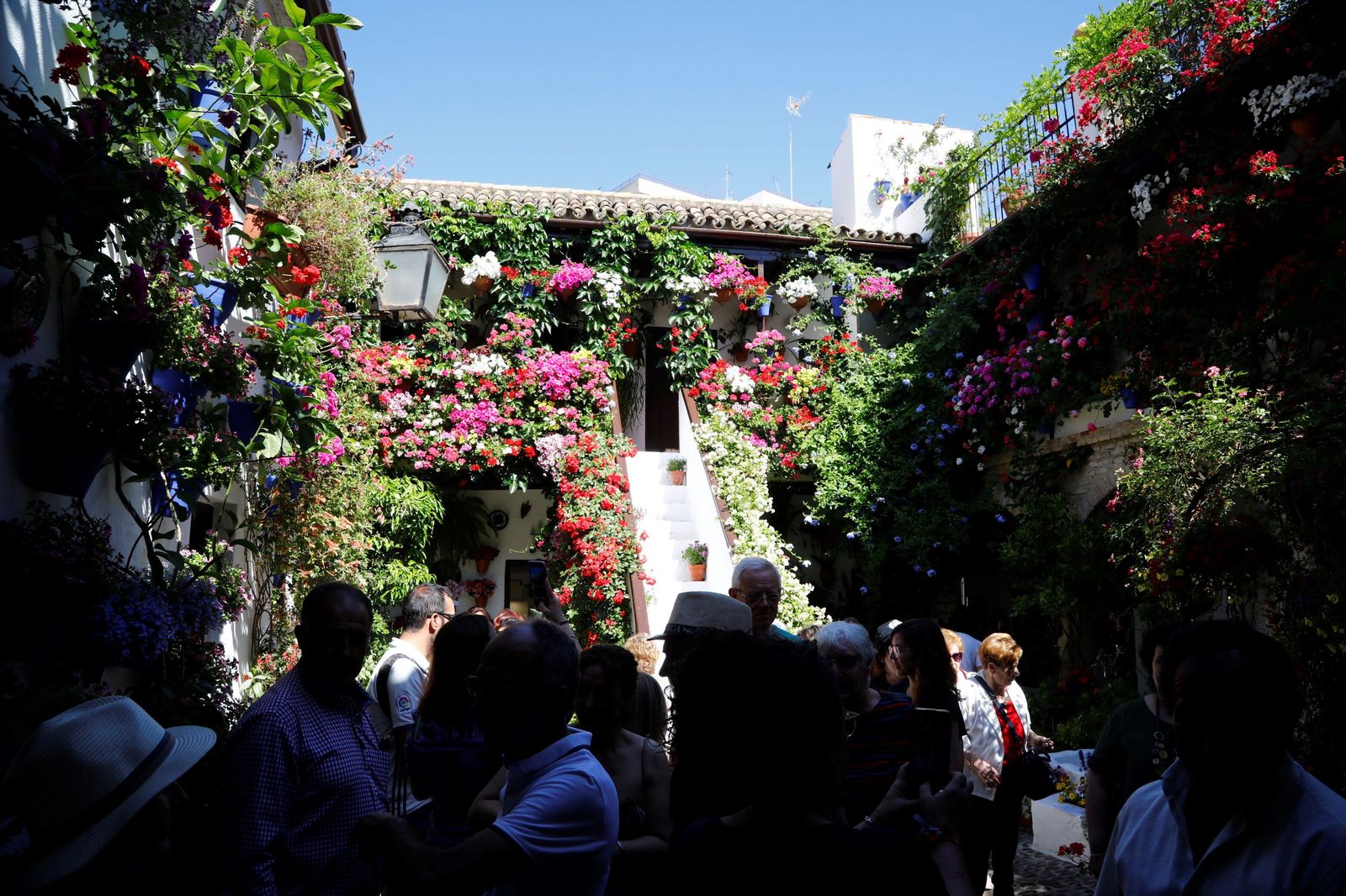 Las colas en el último sábado de Patios de Córdoba, en imágenes