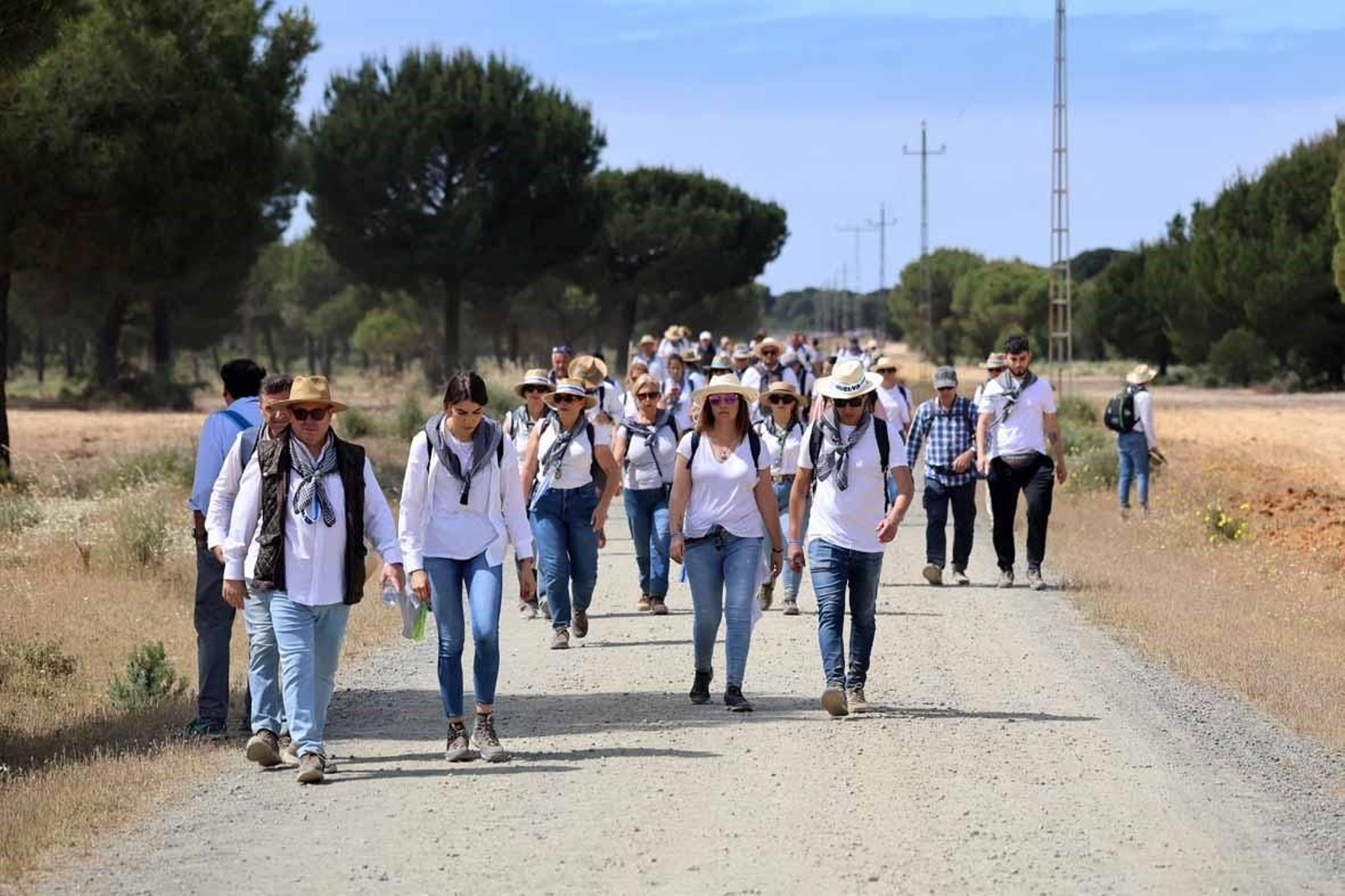 Peregrinos marchan hacia El Rocío el pasado año. Peregrinos marchan hacia El Rocío el pasado año.