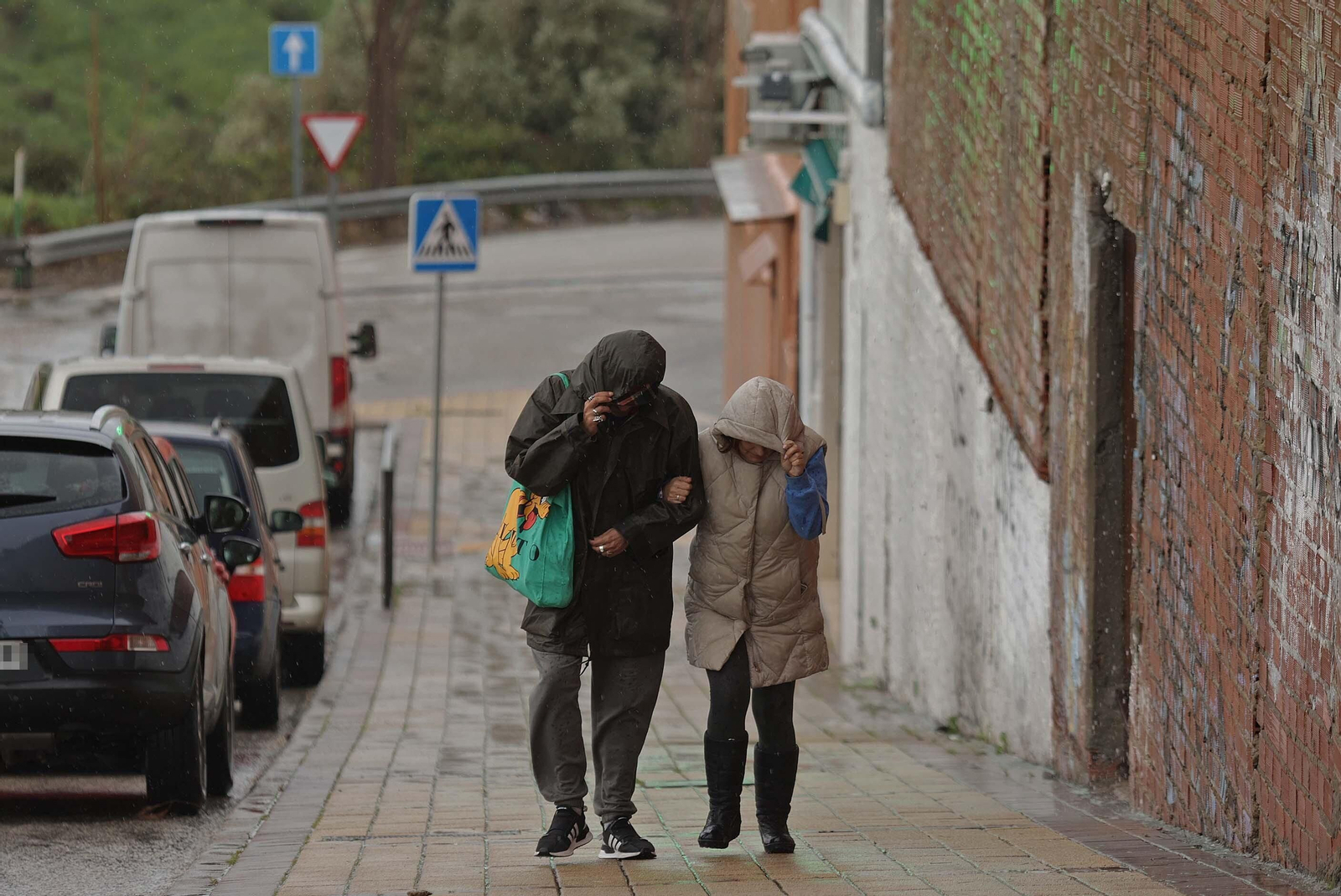 Fotos de los daños del temporal Karlotta en Algeciras