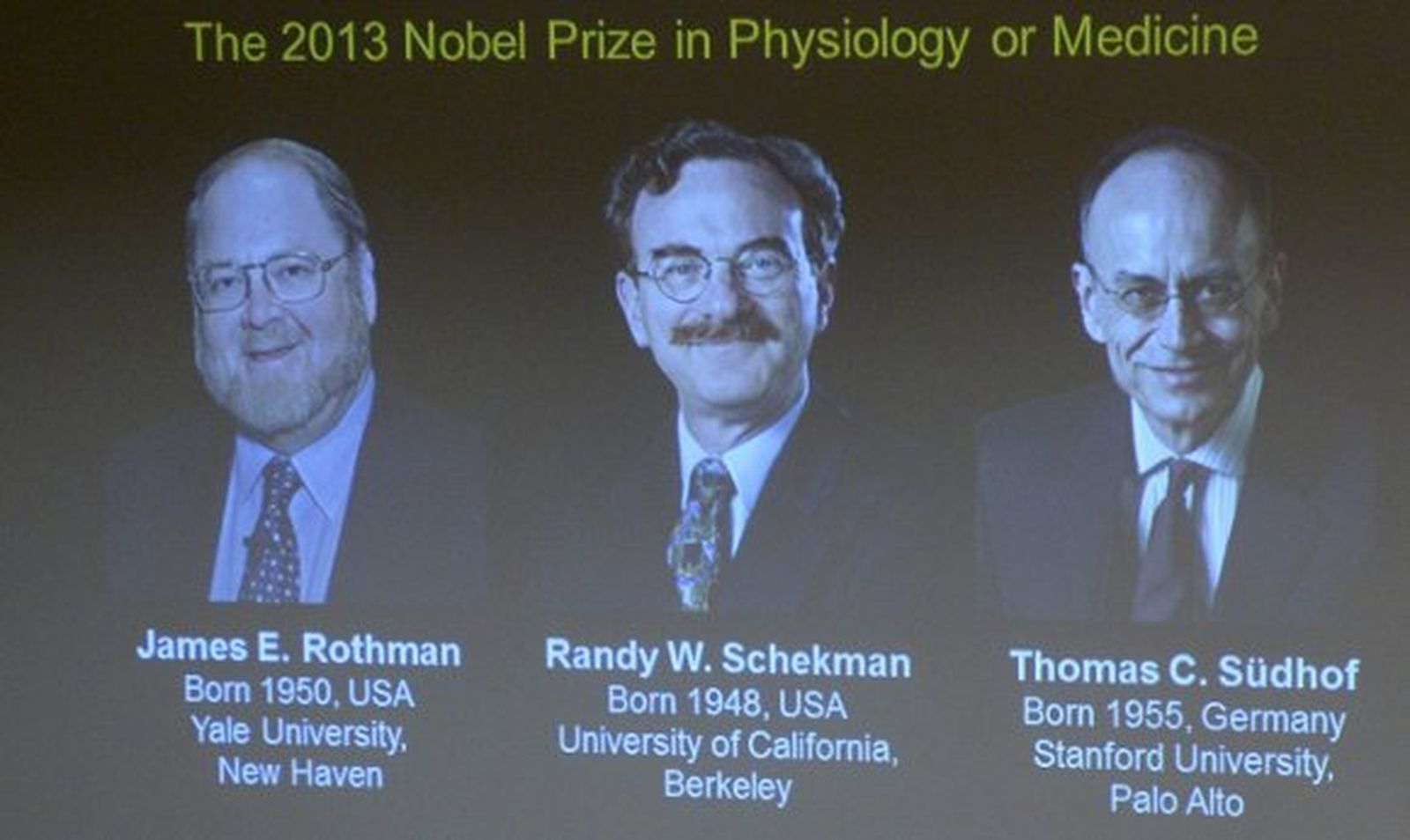 James E. Rothman, Randy W. Schekman y Thomas C. Südhof, Nobel de Medicina