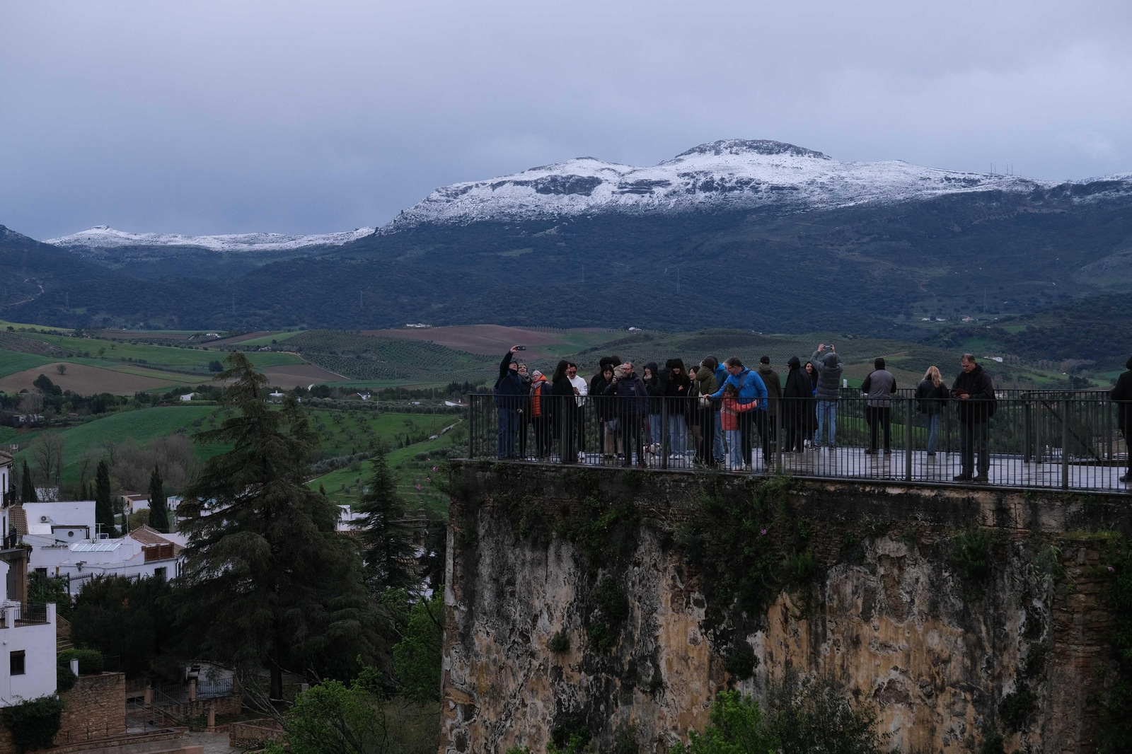 La nueva nevada  en el Parque Nacional Sierra de las Nieves, en fotos