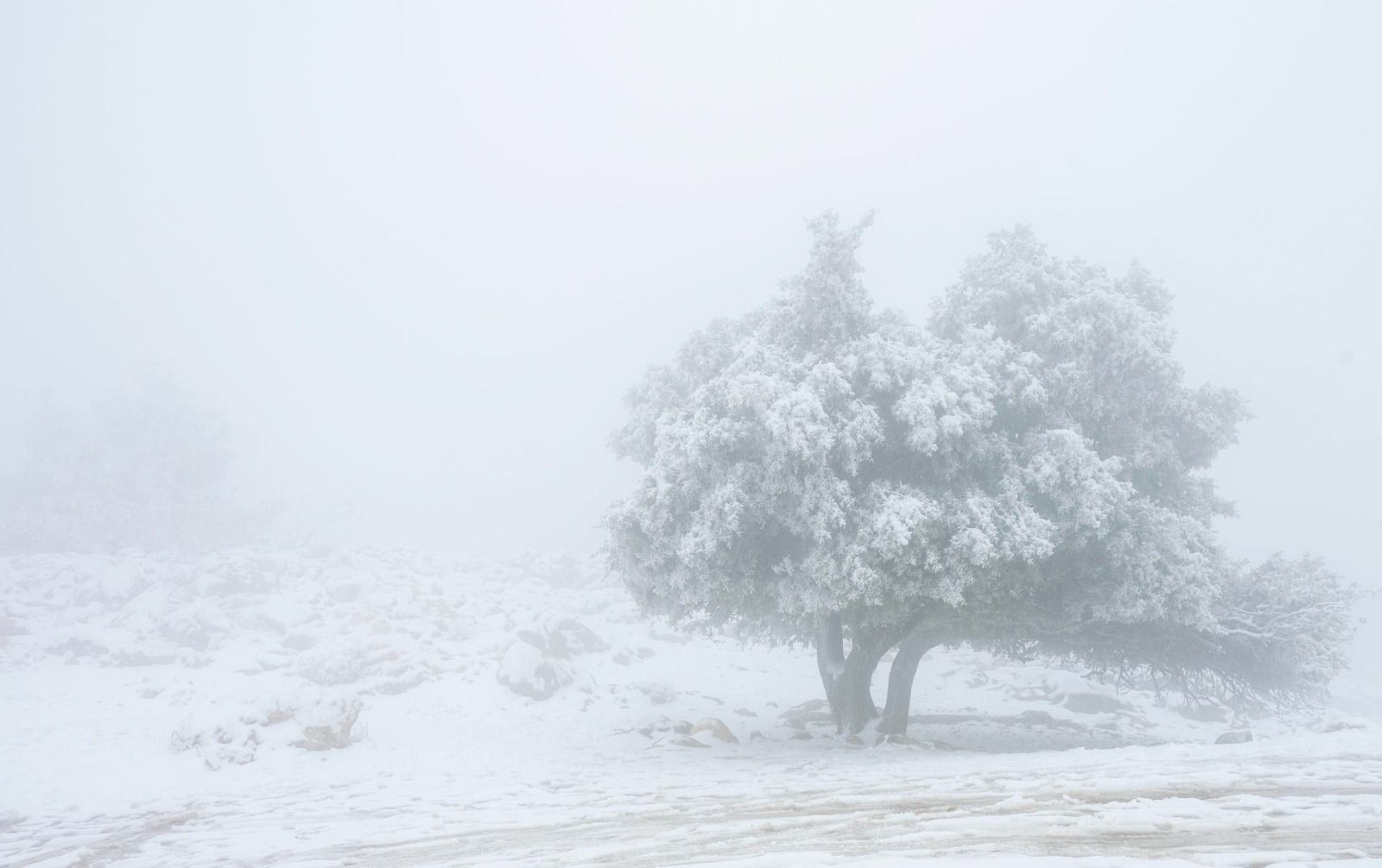 Blanca Navidad en la Sierra de Cazorla/WhatsApp Image 2025-12-23 at 13.39.23(2)