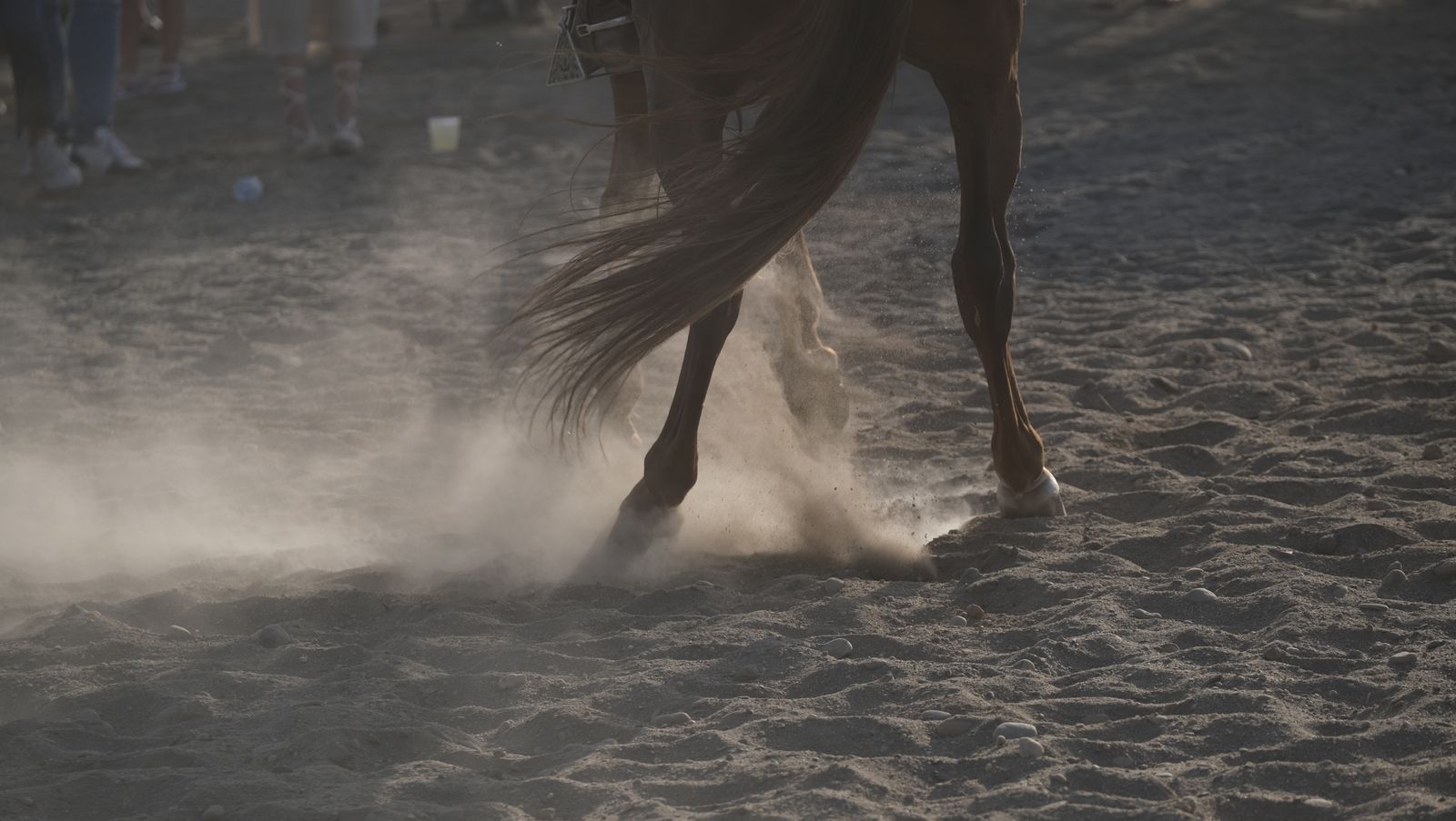 Imágenes de la carrera de cintas a caballo en las Fiestas de Moros y Cristianos de Mojácar