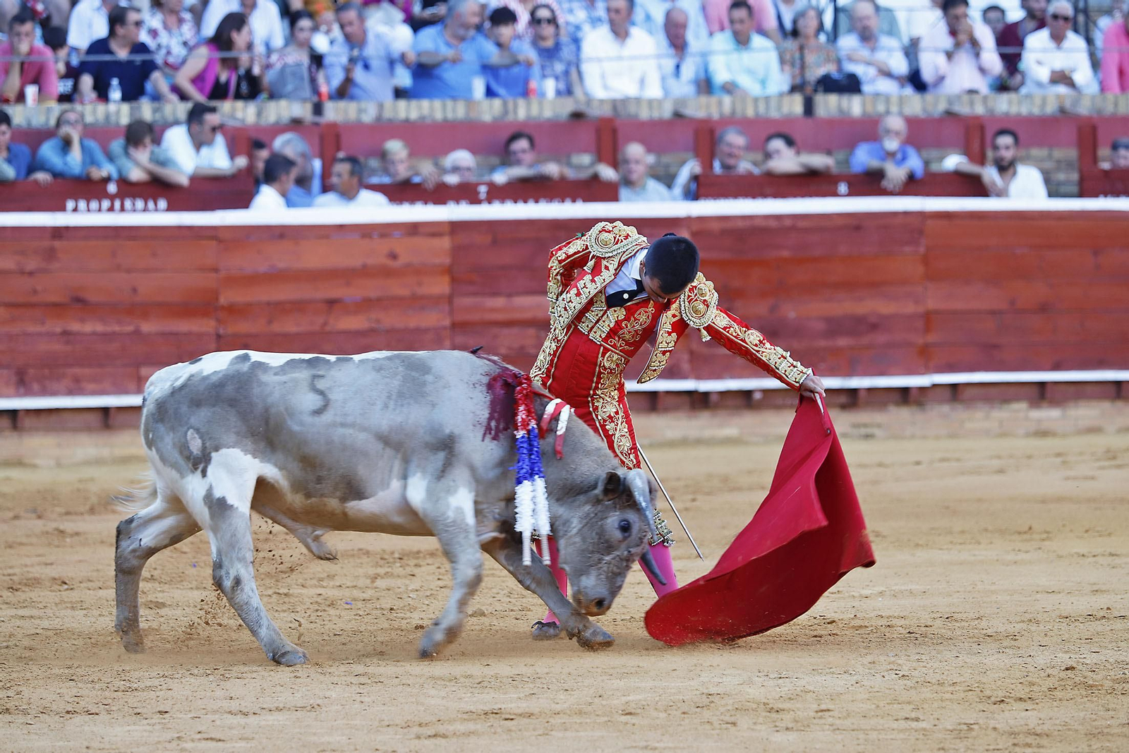 COLOMBINAS 2023: Festejo del miércoles de la Feria Taurina