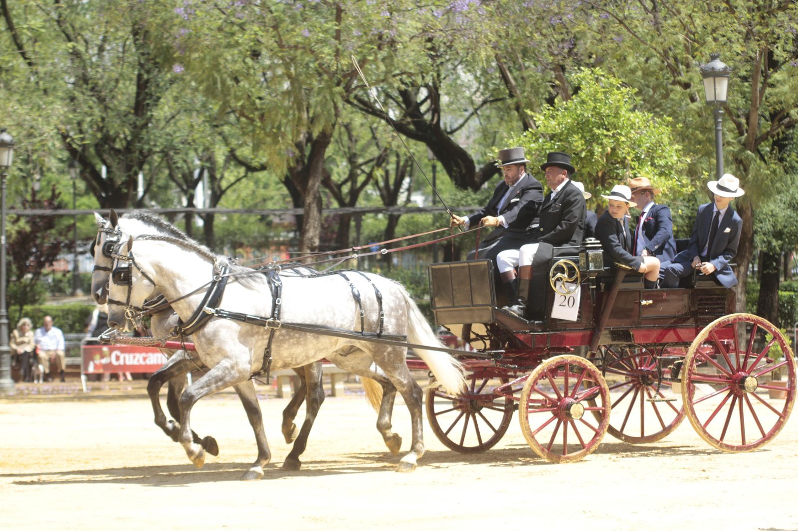 Uno de los carruajes, en un momento de sol, durante la prueba de Manejabilidad en el Prado de San Sebastián.