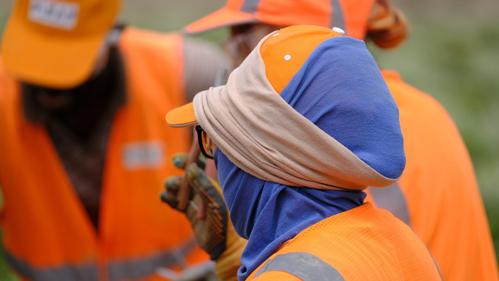 La sandía y el melón de Huércal Overa, manjares en imágenes