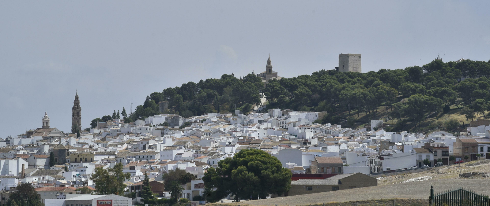 Estepa, en imágenes