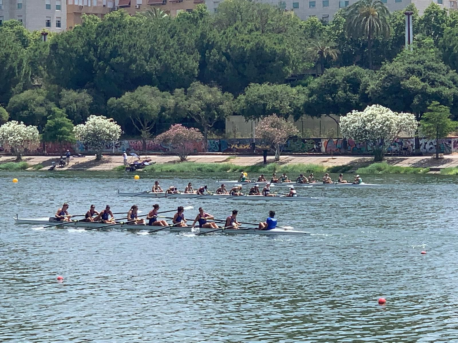 Las fotos del Campenato de España de Remo en Sevilla
