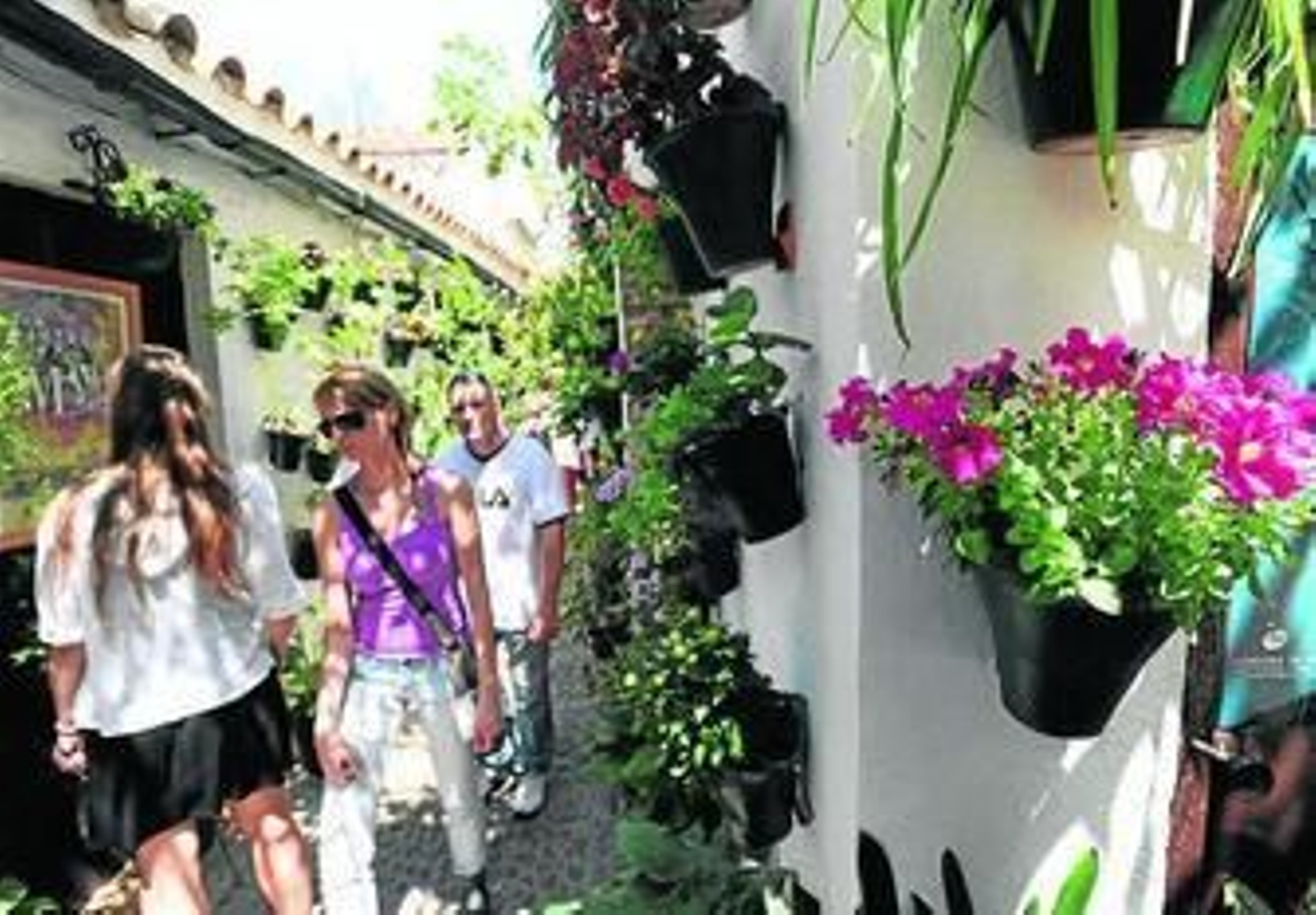 Visitantes en la calle Pozanco, 21.