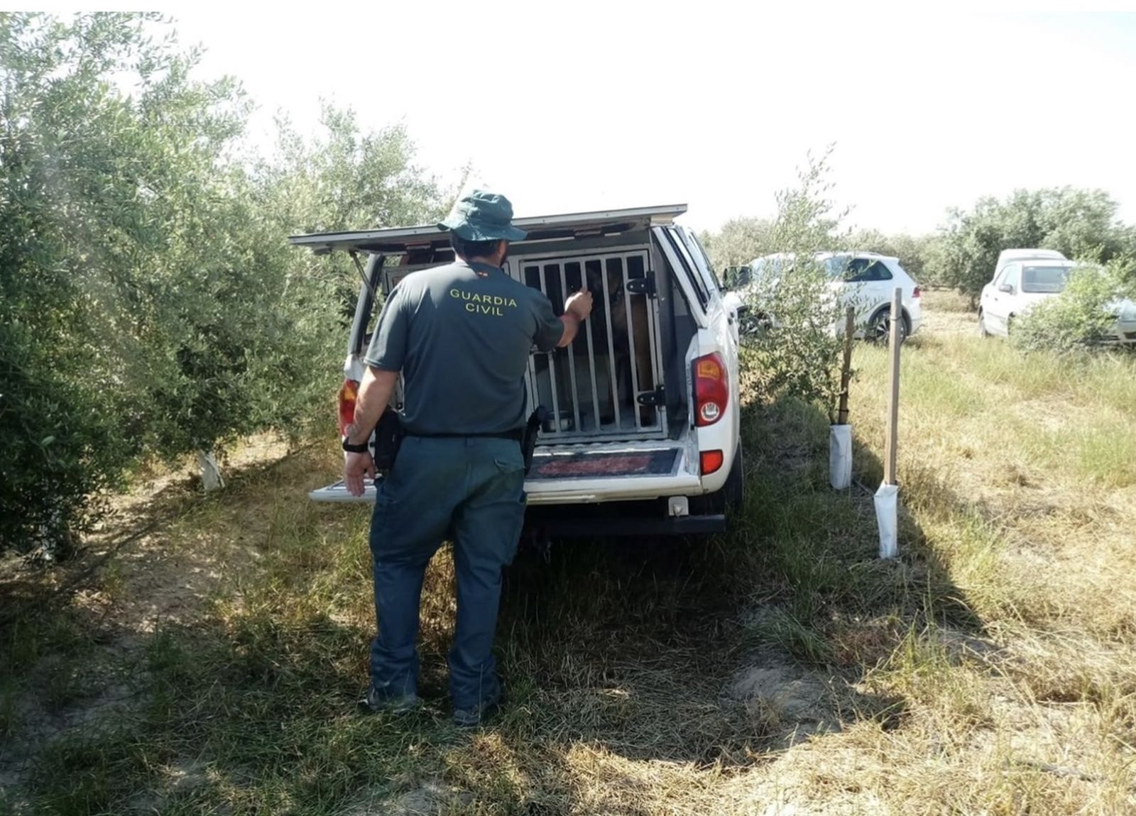 Servicio Cinológico de la Guardia Civil de Jaén.