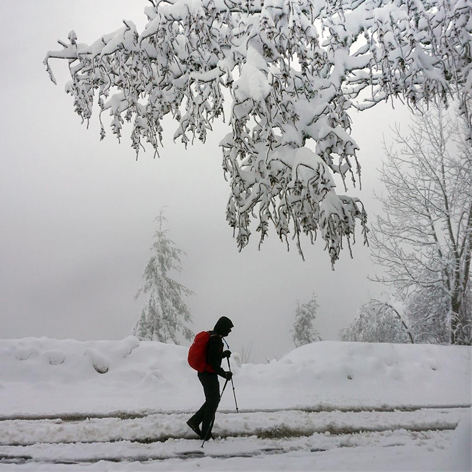 'Nevada en O'Cebreiro', de Goyo González.