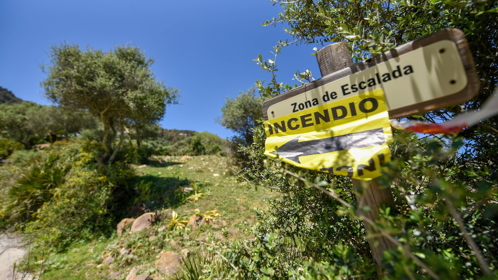 Fotos de la zona de Betijuelos incendiada