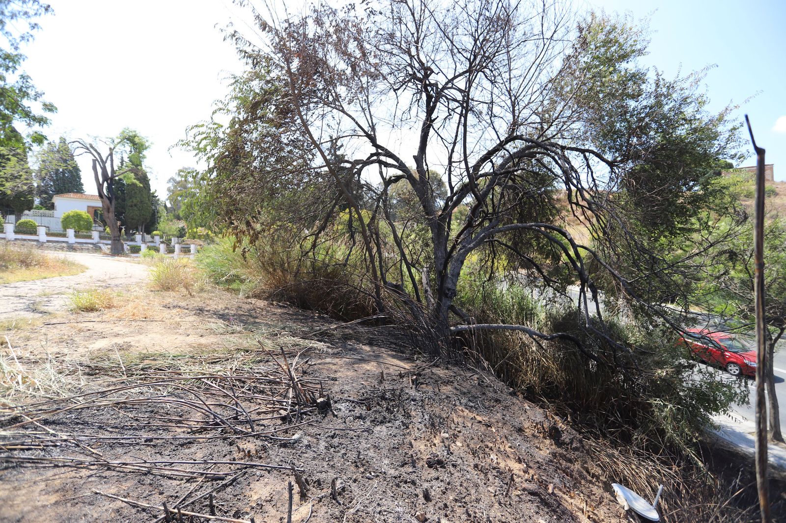 Imágenes de la ladera del Santuario de la CInta calcinadas por un incendio