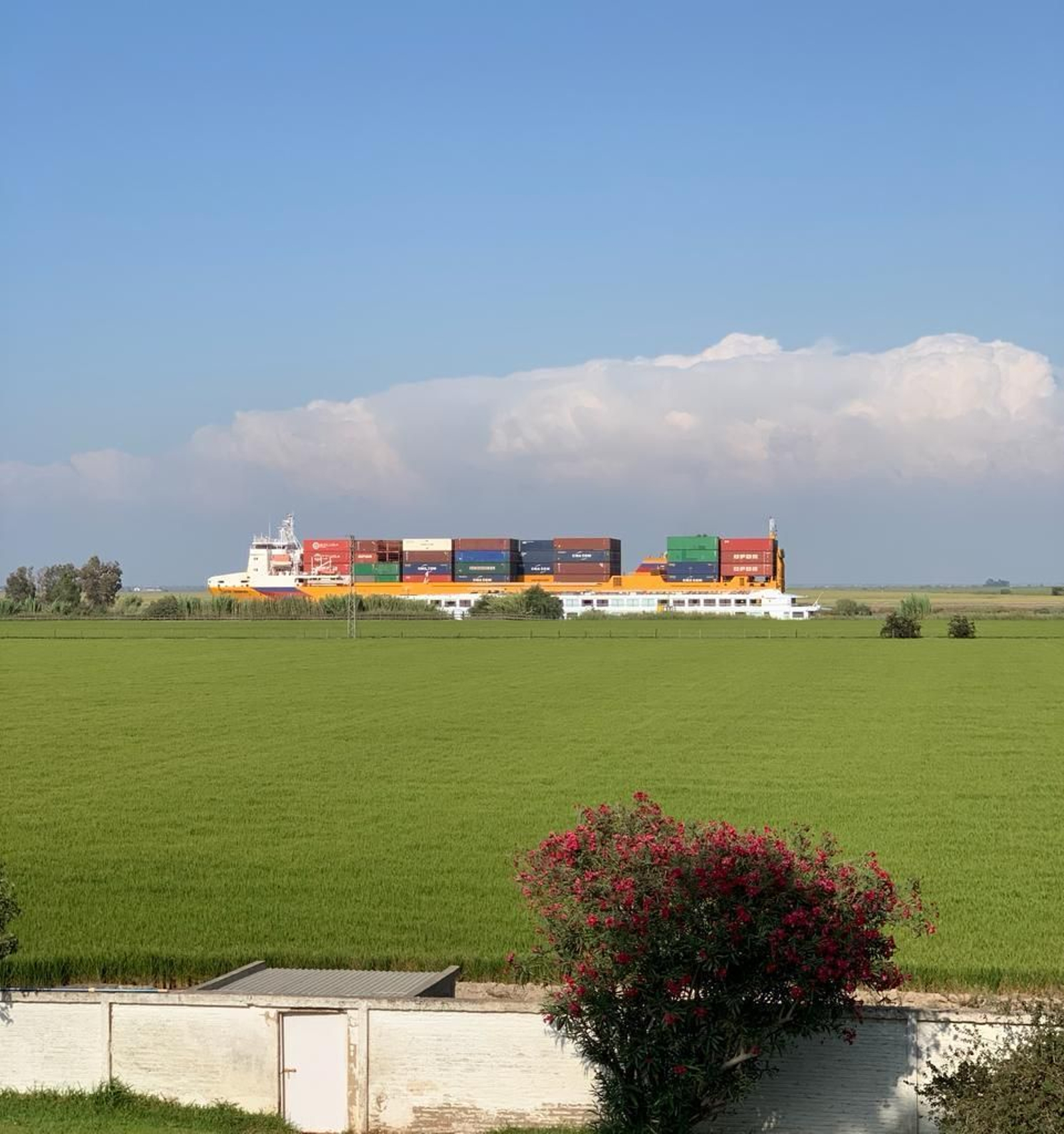 Vista de un barco por el estuario del Guadalquivir desde otra finca de arroz.