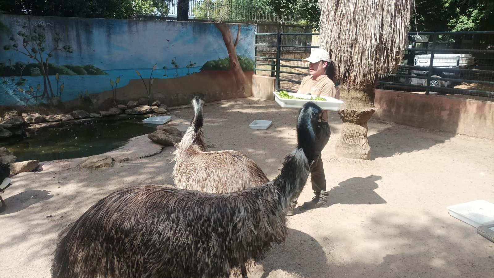 Marta en el zoo de Córdoba Marta en el zoo de Córdoba
