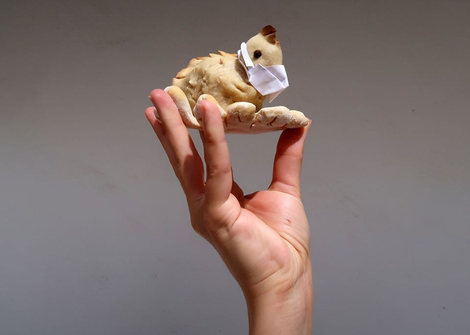 Los hornazos del concurso de Almedinilla, en fotografías