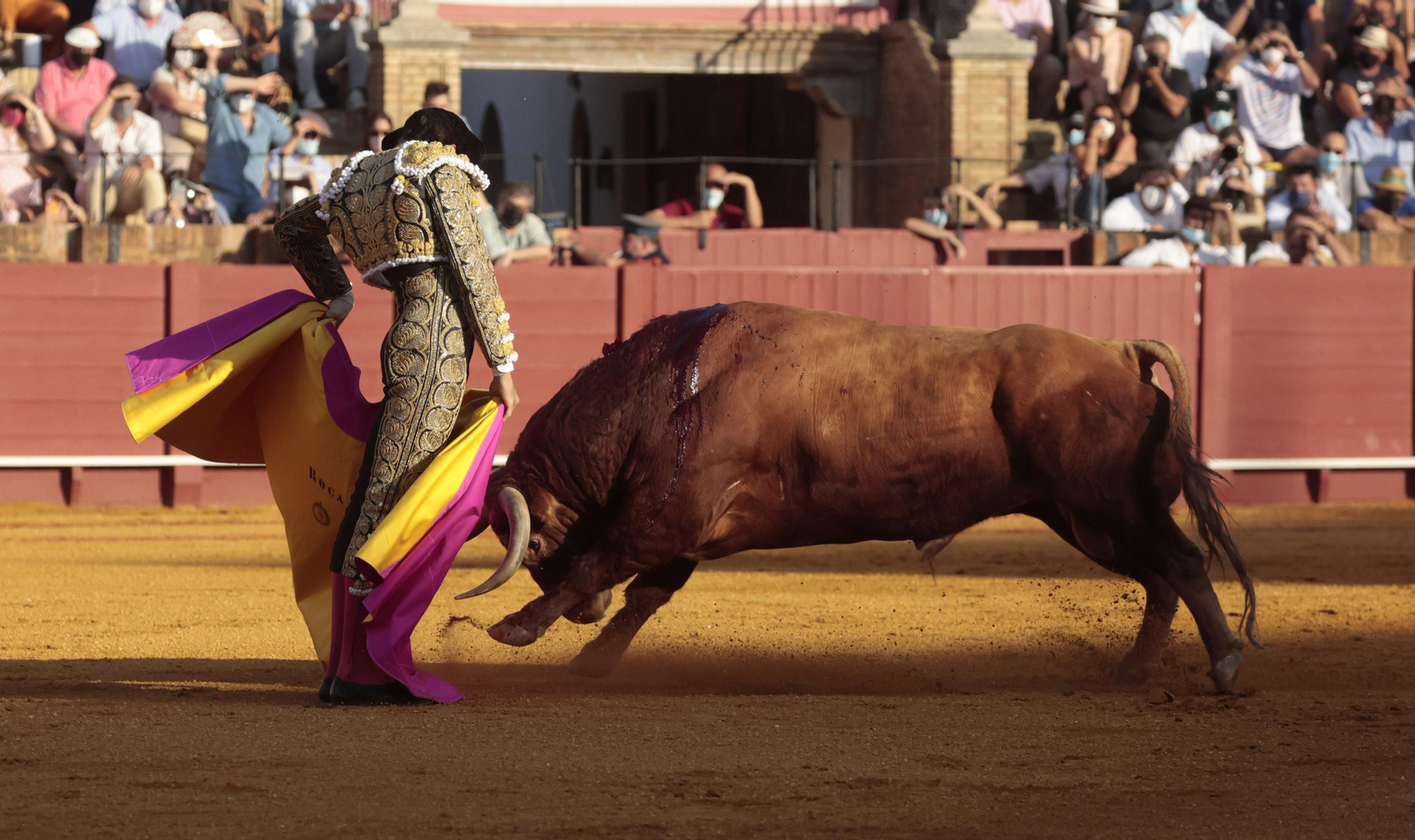 Las imágenes del triunfo de Morante en San Miguel