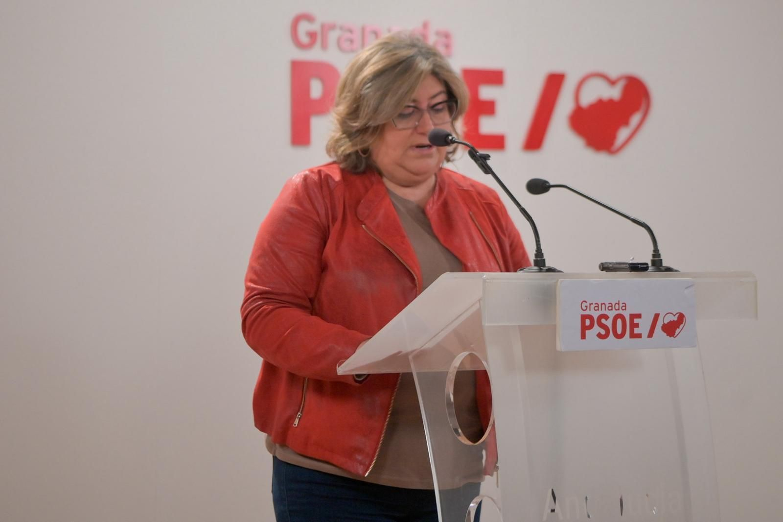 La secretaria de Organización del PSOE de Granada, Ana Muñoz La secretaria de Organización del PSOE de Granada, Ana Muñoz