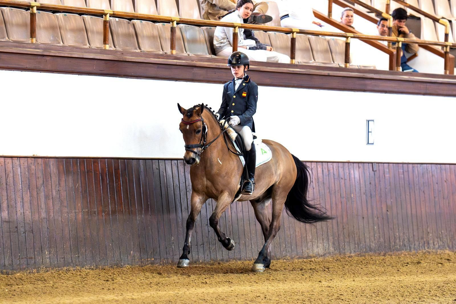 Curro Ramírez (Dressage), durante una competición