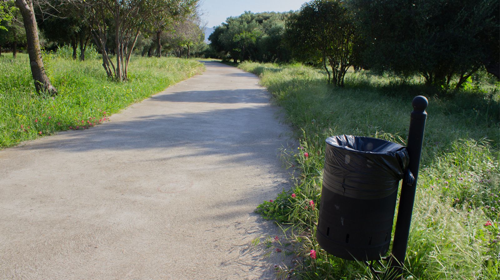 Fotos del parque municipal El Torrejón