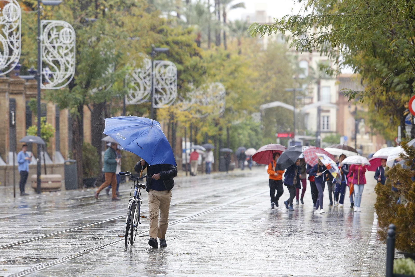 Varios viandantes se guarecen de la lluvia  y el viento con sus paraguas,  en la calle San Fernando.
