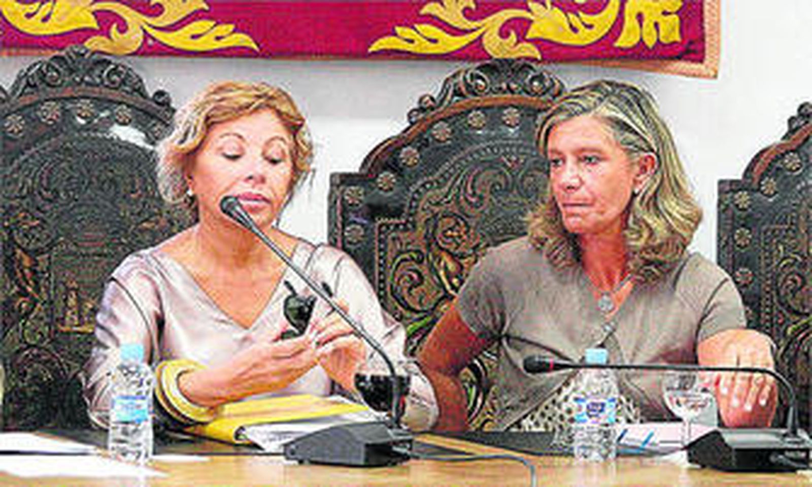 María Cruz Atienza, durante el pleno.