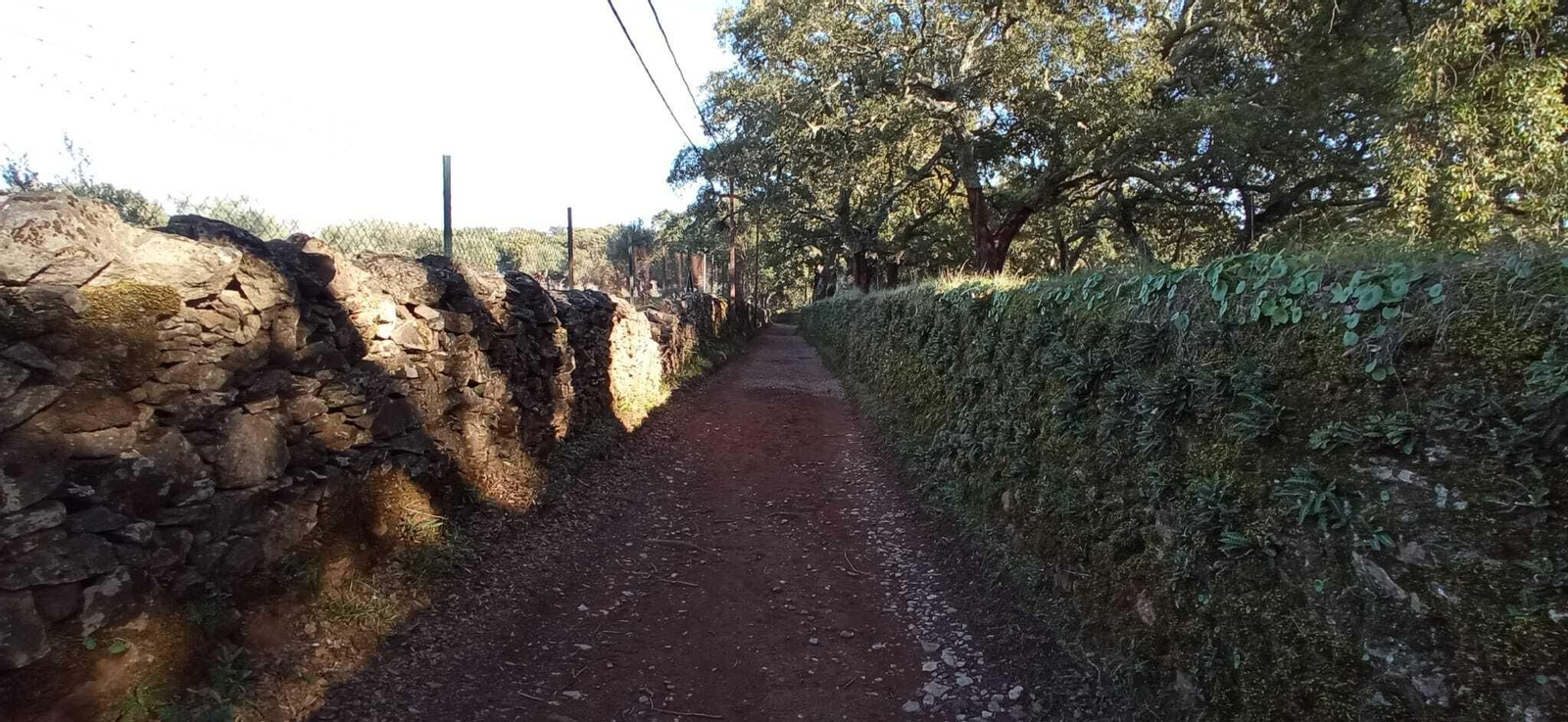 Fotos de la Ruta circular Aracena-Linares de la Sierra-Aracena