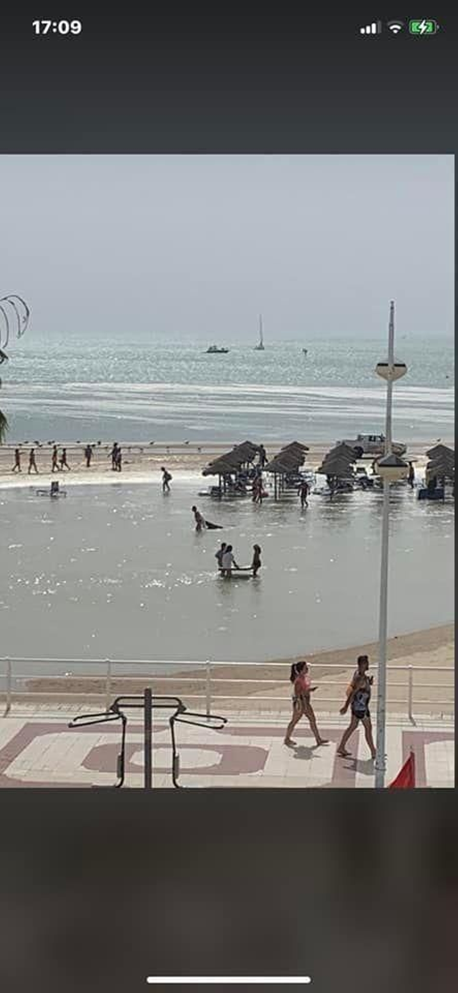 Imágenes de la brusca subida de la marea en Valdelagrana