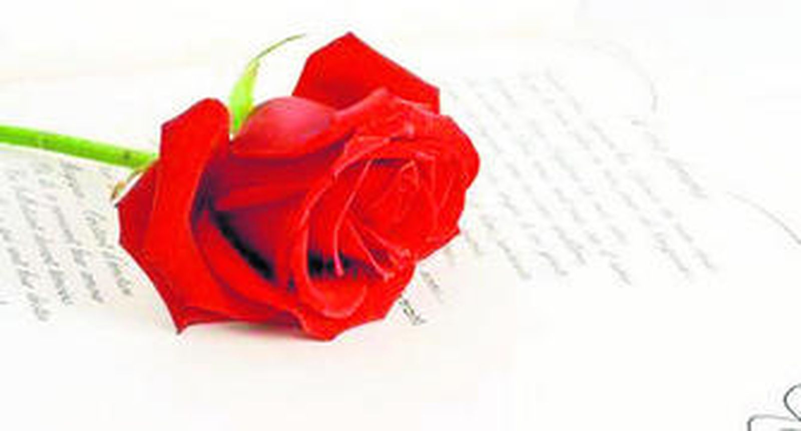 En torno a la lectura (I)