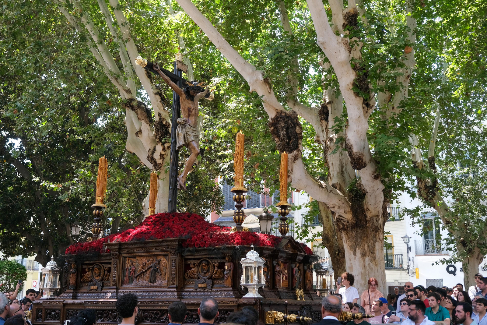 Salida procesional 450 años del Cristo de Burgos