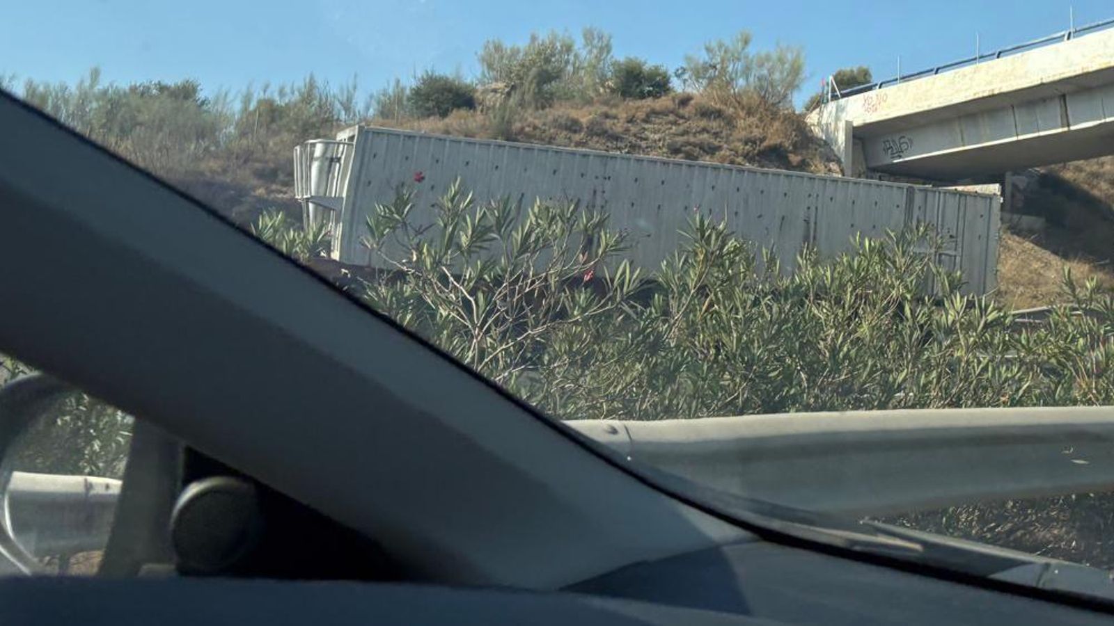 El camión accidentado en la A-7.