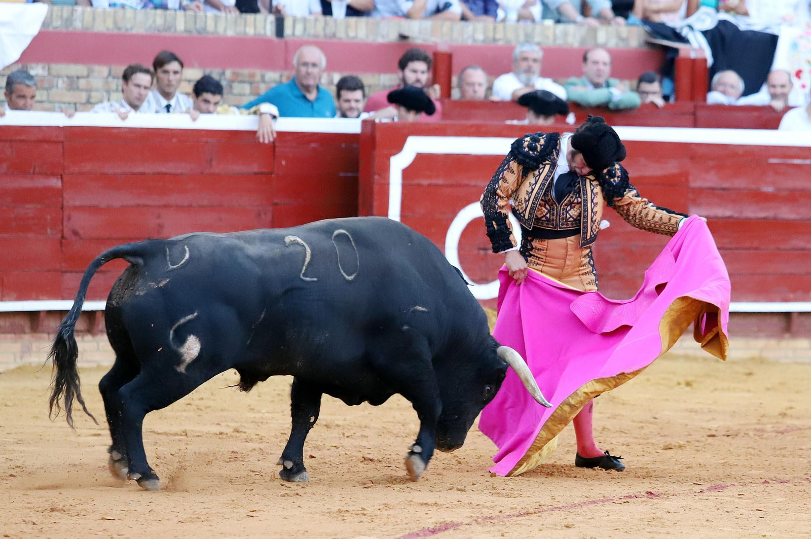 Imágenes de Morante de la Puebla, David de Miranda y Pablo Aguado en la Plaza de Toros La Merced
