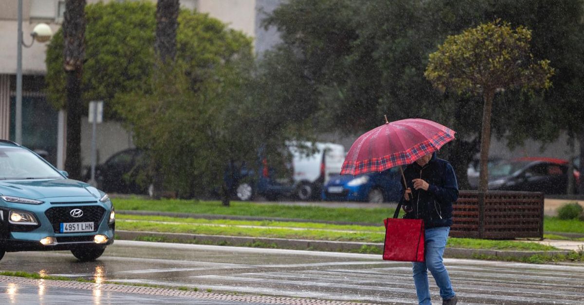 Borrasca Marta: Bruno García confirma la revisión de palmeras, cornisas, alumbrado y asfaltado por el temporal