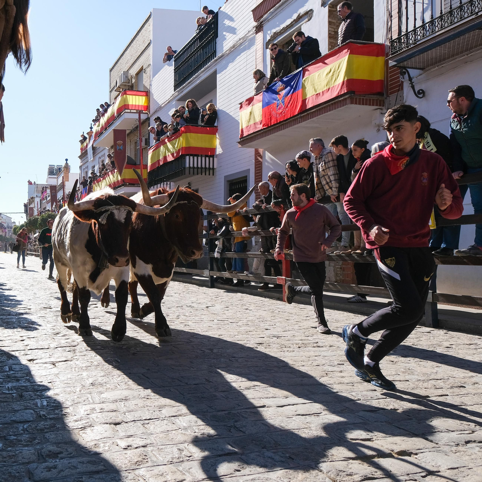 Las imágenes de los festejos de San Sebastian en Puebla del Río